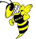 wasp